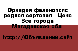 Орхидея фаленопсис редкая сортовая › Цена ­ 800 - Все города  »    . Магаданская обл.